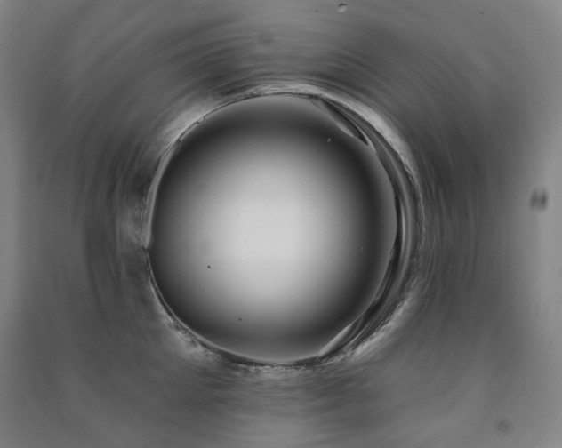 X0000091470905200708161356