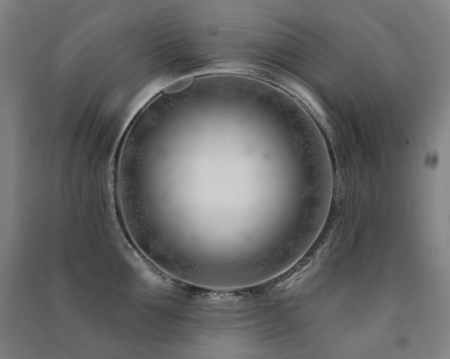 X0000091470907200708161356