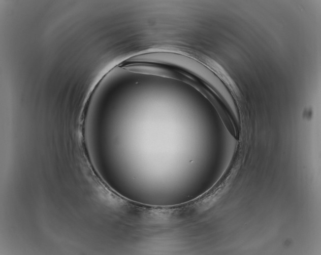 X0000091470908200708161356