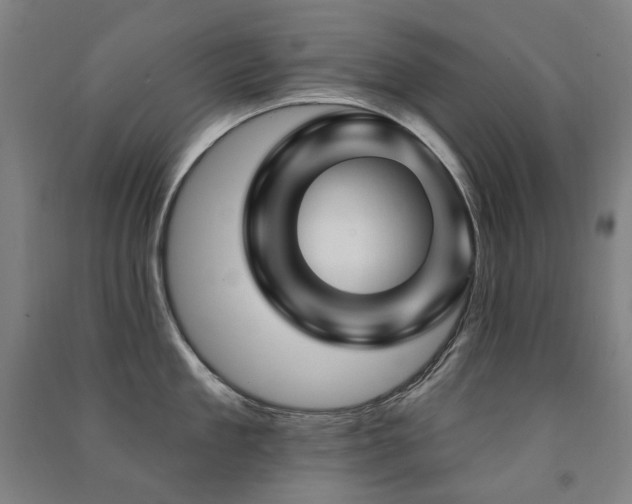 X0000091470909200708161356