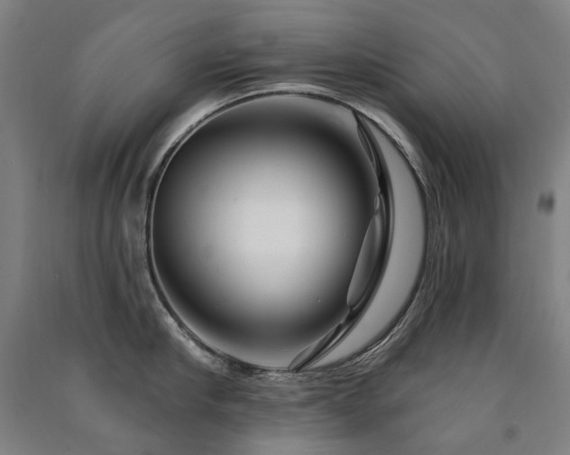 X0000091470910200708161356