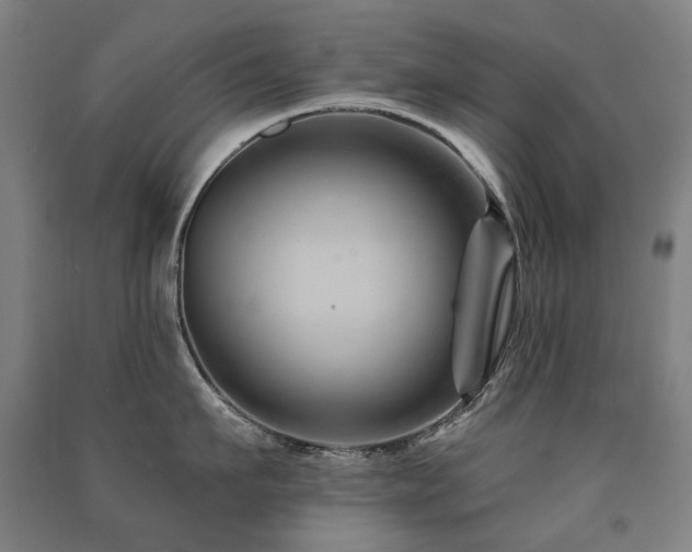 X0000091470911200708161356