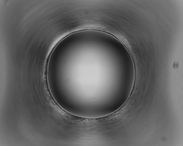 X0000091470912200708161356
