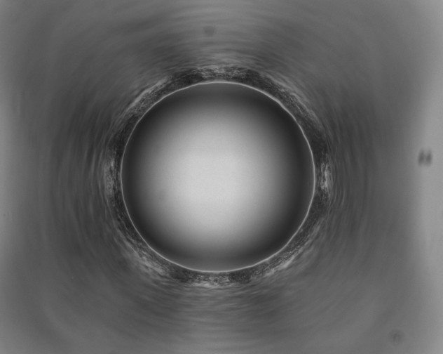 X0000091470915200708161356
