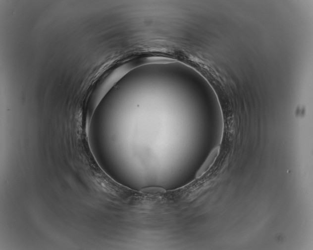 X0000091470916200708161356