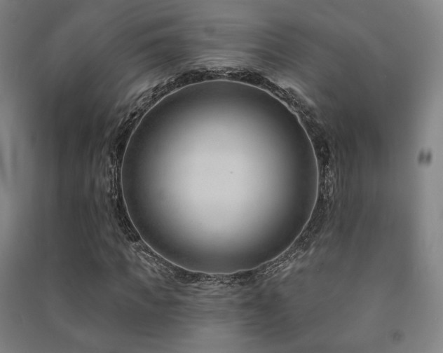 X0000091470917200708161356