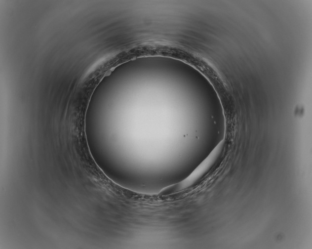 X0000091470919200708161356