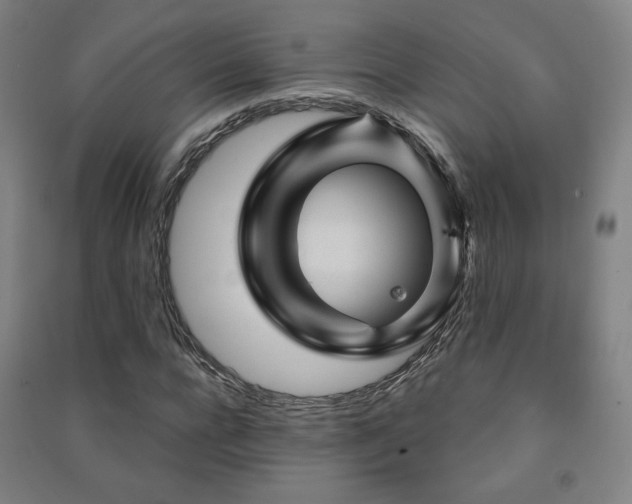 X0000091470920200708161356