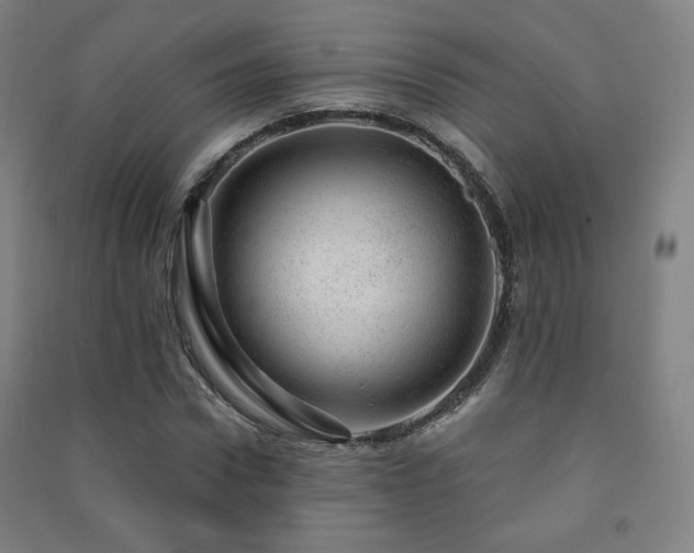 X0000091470922200708161356