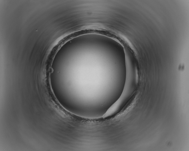 X0000091470923200708161356