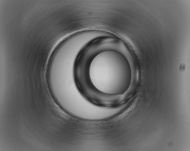 X0000091470924200708161356