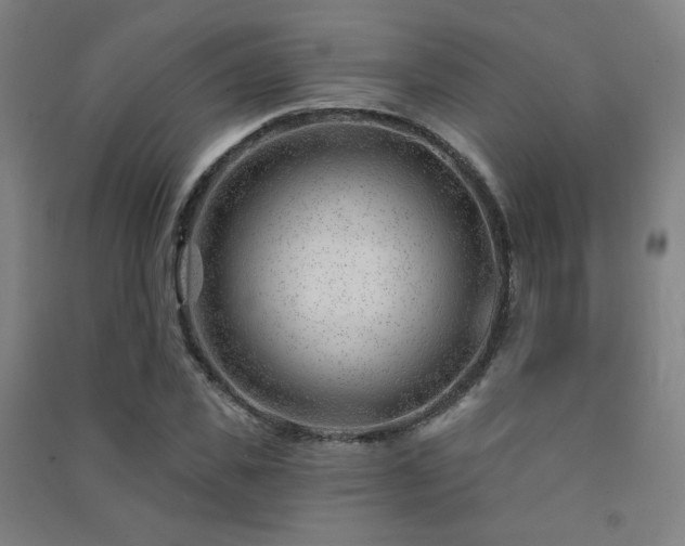 X0000091470925200708161356