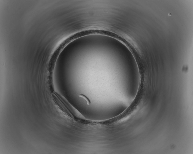X0000091470926200708161356