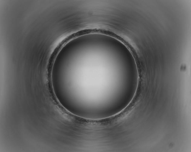X0000091470927200708161356
