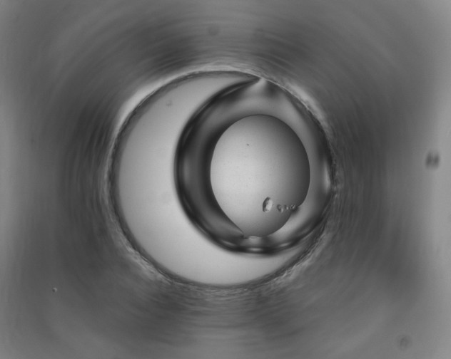 X0000091470928200708161356