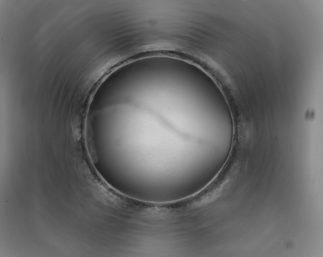 X0000091470929200708161356