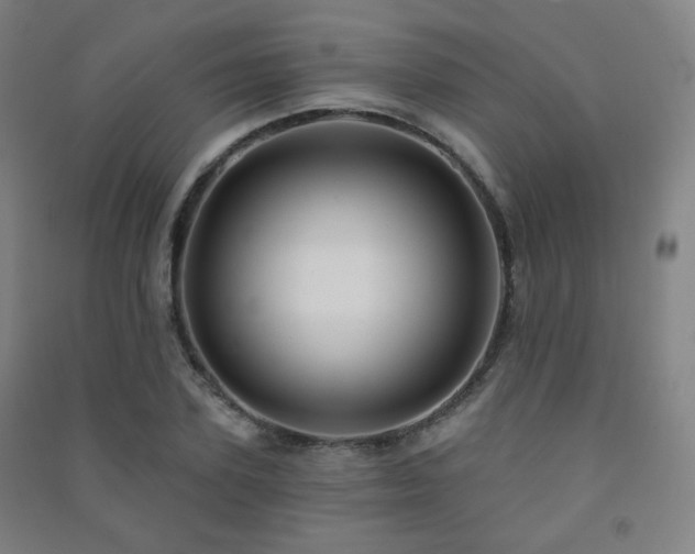 X0000091470931200708161356