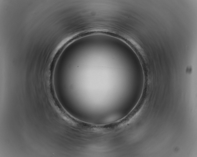 X0000091470933200708161356