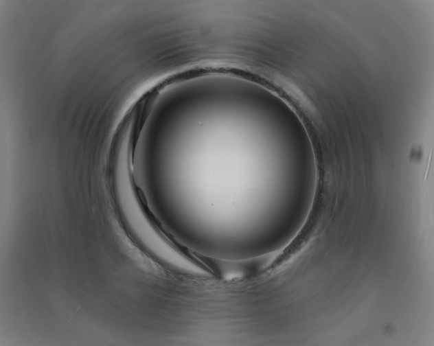 X0000091470934200708161356