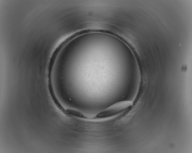 X0000091470935200708161356