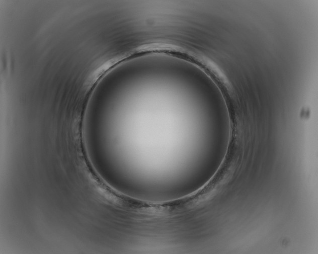 X0000091470937200708161356