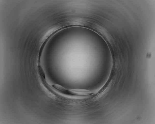 X0000091470938200708161356
