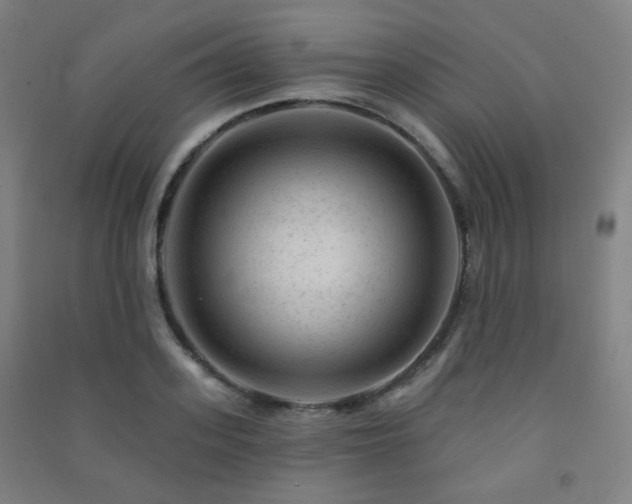 X0000091470939200708161356