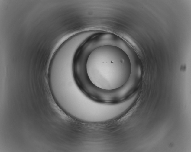 X0000091470940200708161356