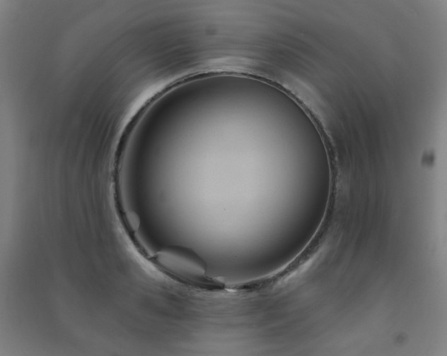 X0000091470941200708161356