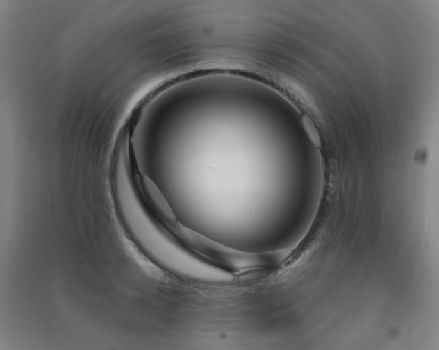 X0000091470942200708161356