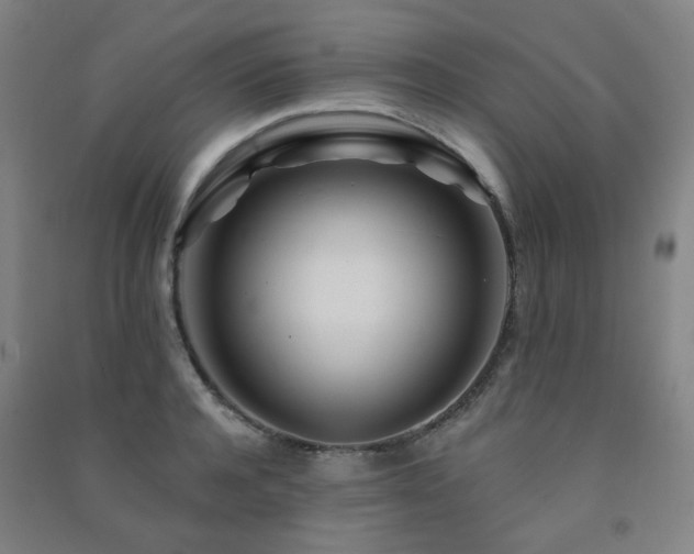 X0000091470944200708161356