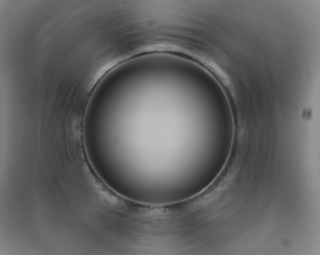 X0000091470945200708161356