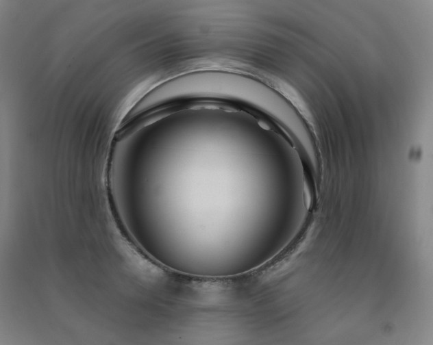 X0000091470946200708161356