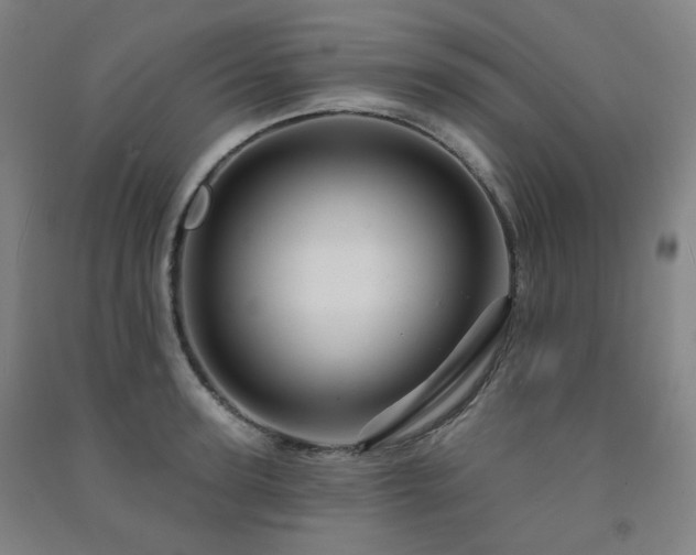 X0000091470947200708161356