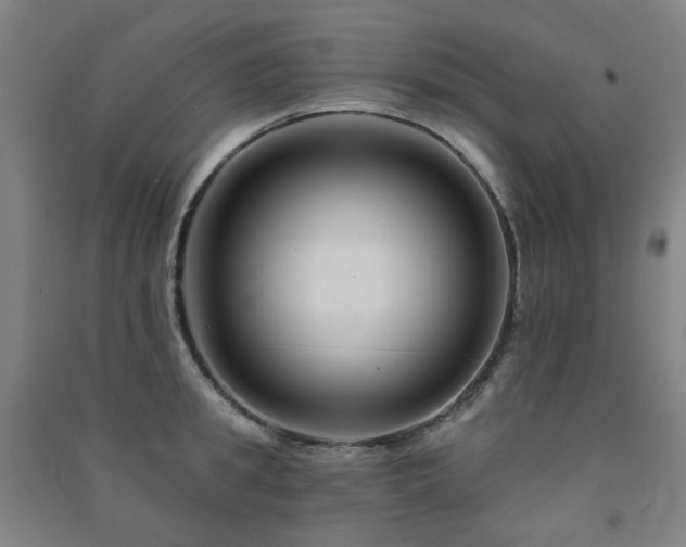 X0000091470949200708161356