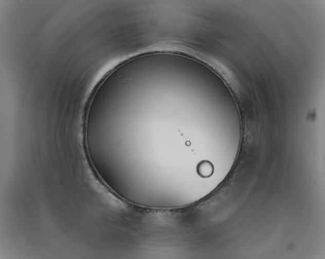 X0000091470950200708161356