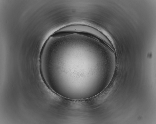 X0000091470951200708161356