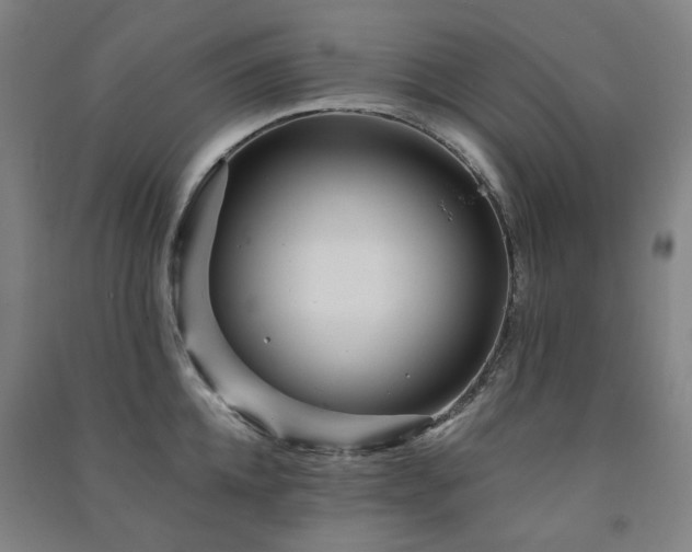 X0000091470952200708161356