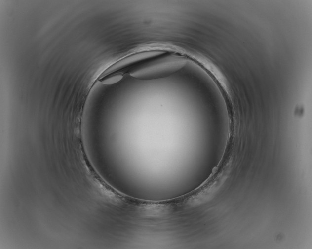 X0000091470953200708161356