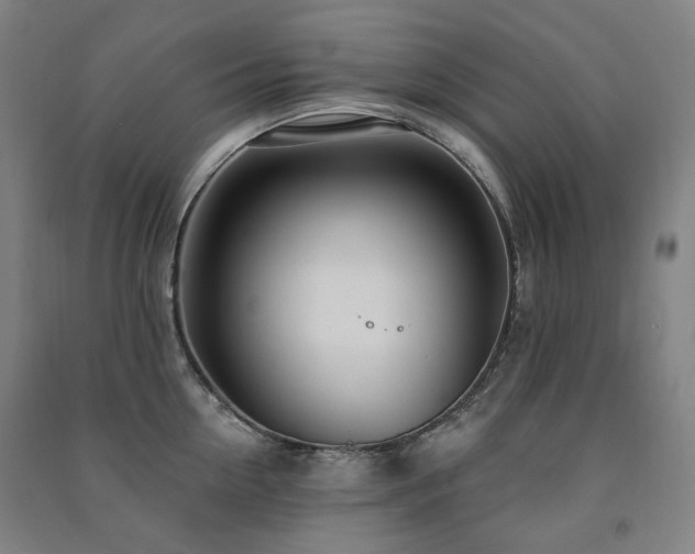 X0000091470954200708161356