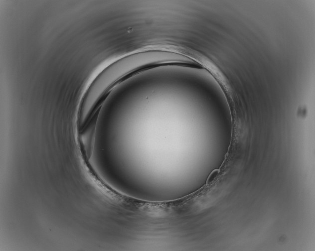 X0000091470955200708161356