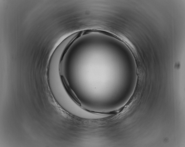X0000091470956200708161356