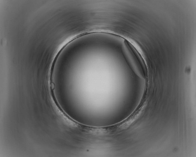X0000091470957200708161356