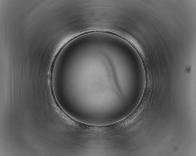 X0000091470958200708161356