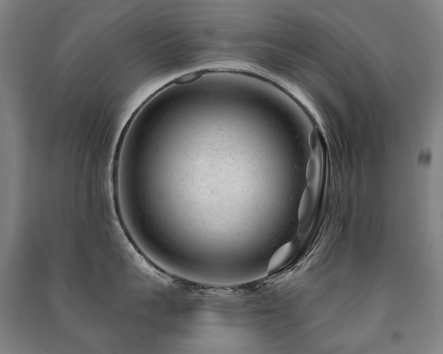 X0000091470959200708161356