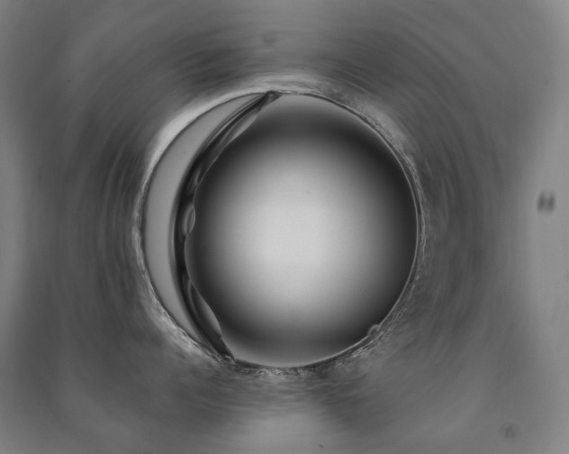 X0000091470960200708161356