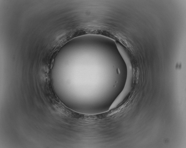 X0000091470964200708161355