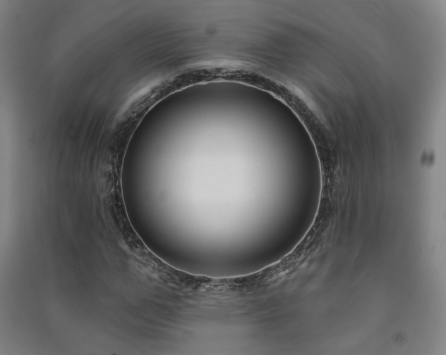 X0000091470967200708161355