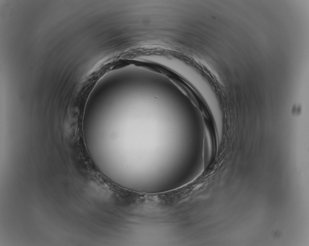 X0000091470968200708161355