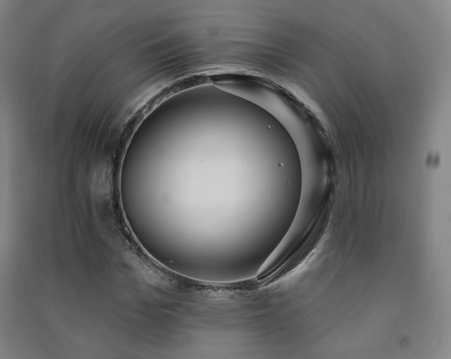 X0000091470969200708161355